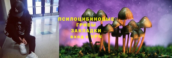 хмурый Уссурийск