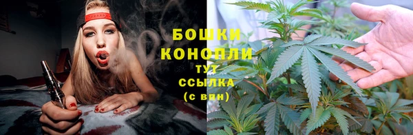 ГАЛЛЮЦИНОГЕННЫЕ ГРИБЫ Костерёво